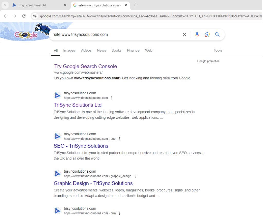 search a website on google